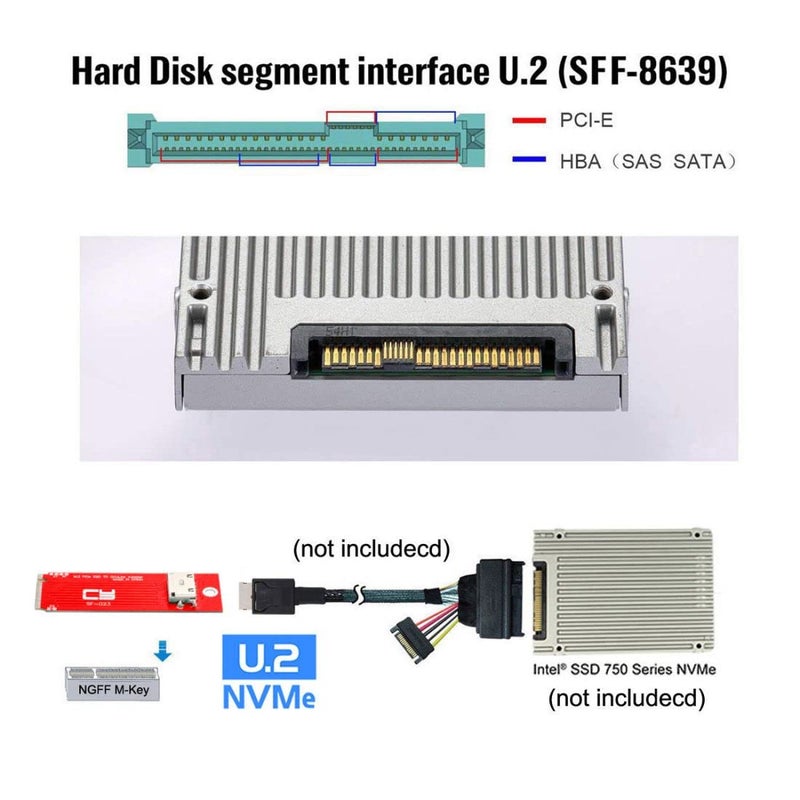Chenyang Oculink SFF-8612/8611 to PCI-E 4.0 NVME M.2 M-Key Host Adapter Support 2230/2260MM for U.2 SSD & eGPU - Image 4